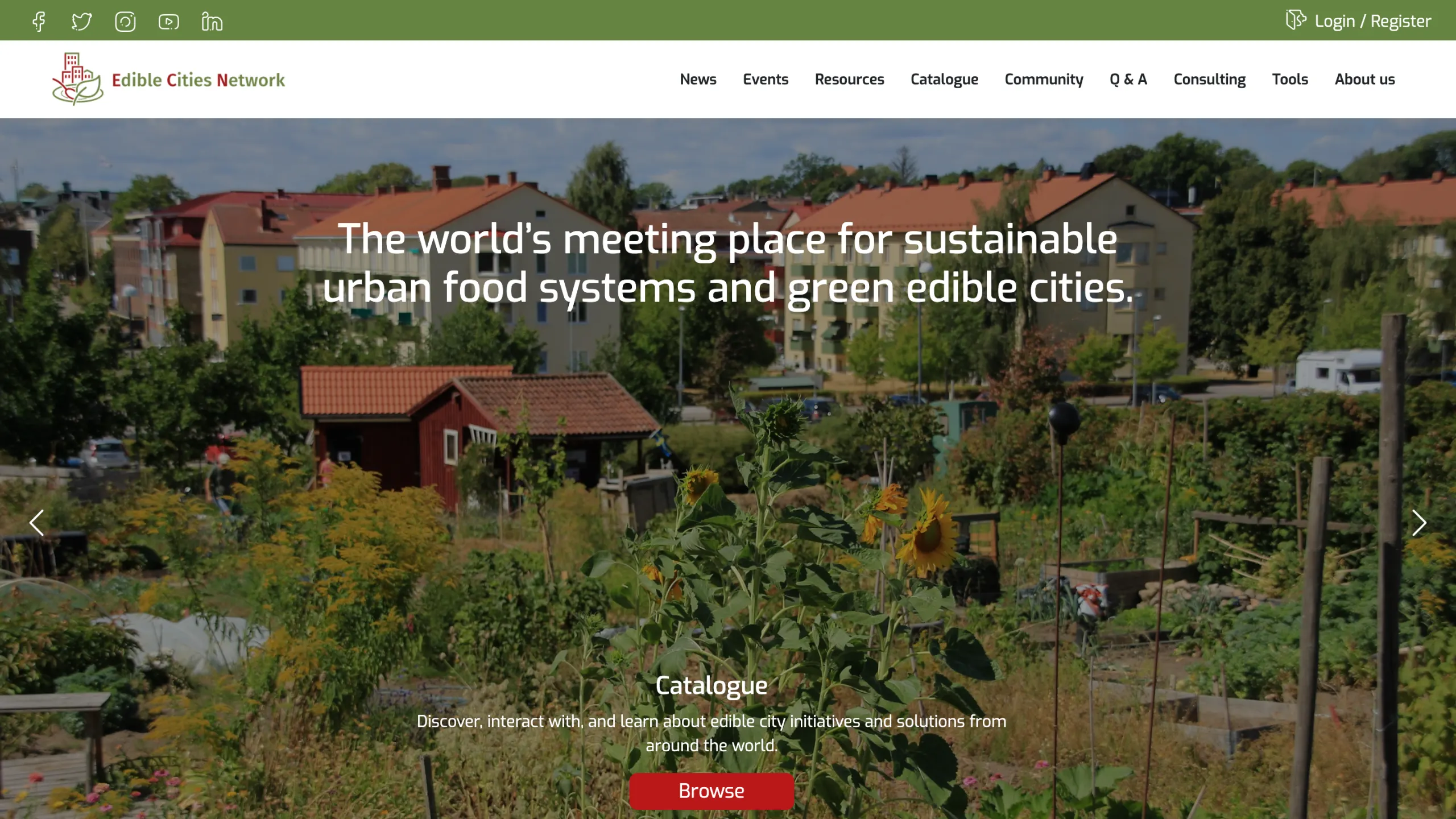 Screenshot of the EdiCitNet website