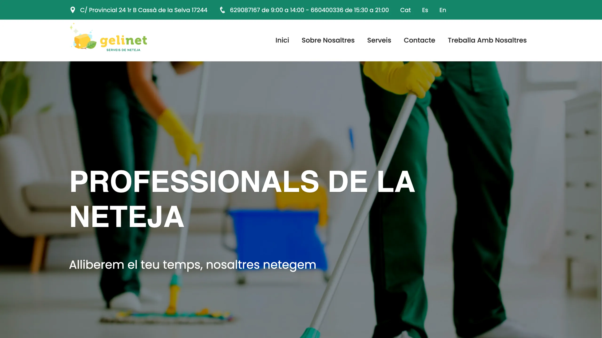 Screenshot of the Gelinet website